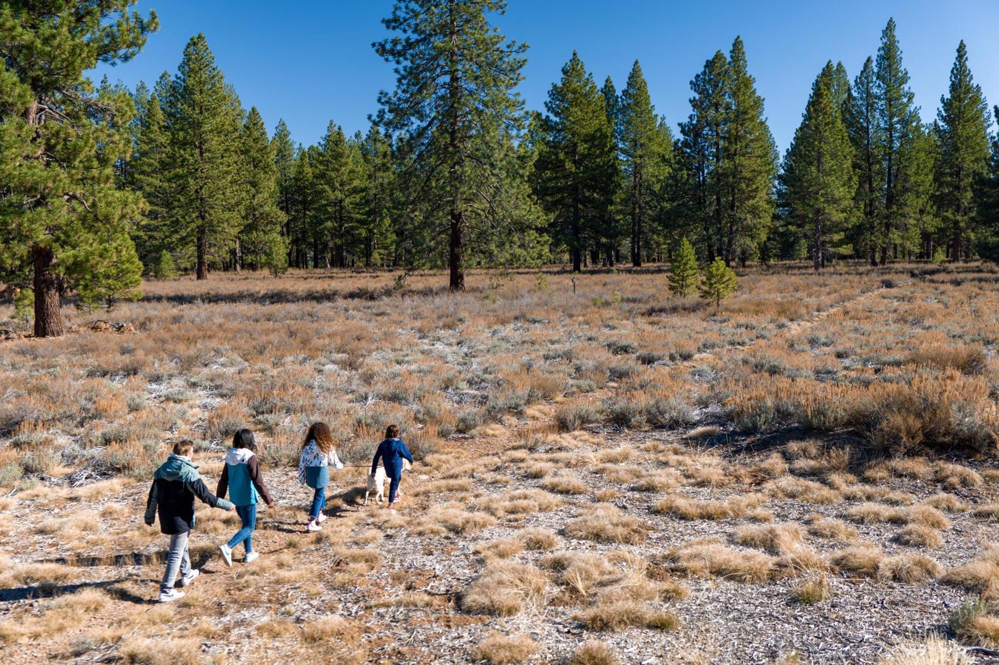 The Cottages - Golf, Pool, Play - 2-Bedroom Truckee Eksteriør billede
